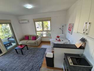 Апартаменты AS Apartments Rafailovici Рафаиловичи Апартаменты с 2 спальнями-28